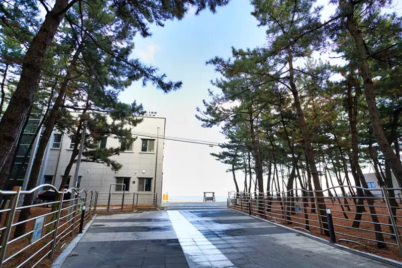[Sokcho] Newly Built Residence AB 1.5 Room Ocean View, 1-Minute Walk from Beach B 20
