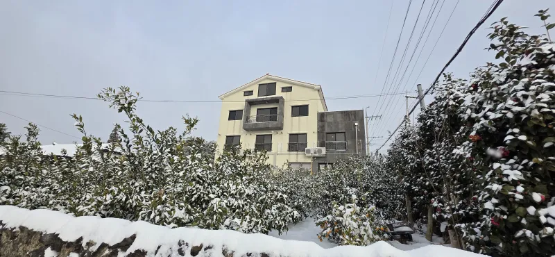 [Namwon, Seogwipo] Jeju Island Wimi Pension #15Days #1Month #1Year 52