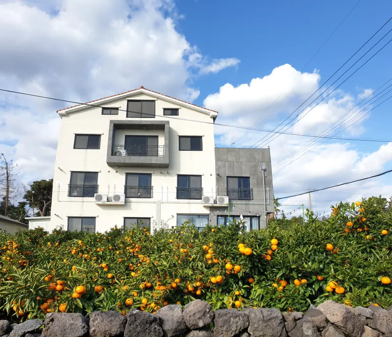 [Namwon, Seogwipo] Jeju Island Wimi Pension #15Days #1Month #1Year 12