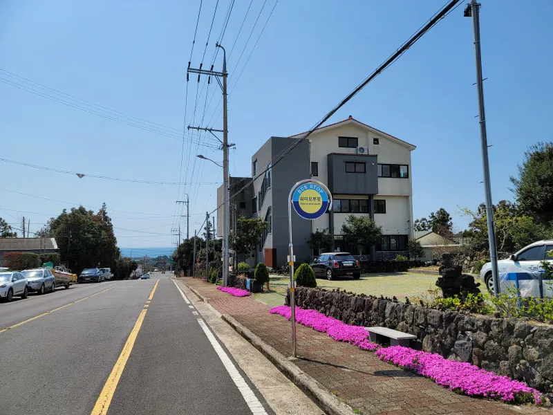 [Namwon, Seogwipo] Jeju Island Wimi Pension #15Days #1Month #1Year 57