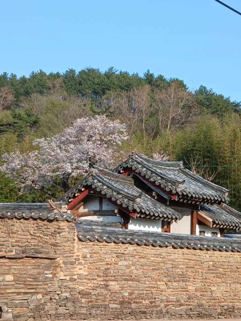 [경남 고성] 전통한옥저택 23