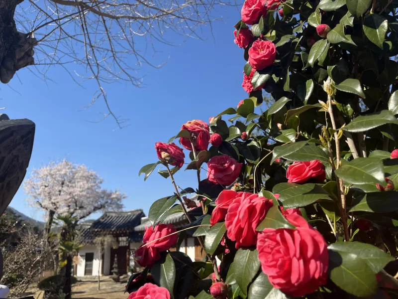 [경남 고성] 전통한옥저택 22