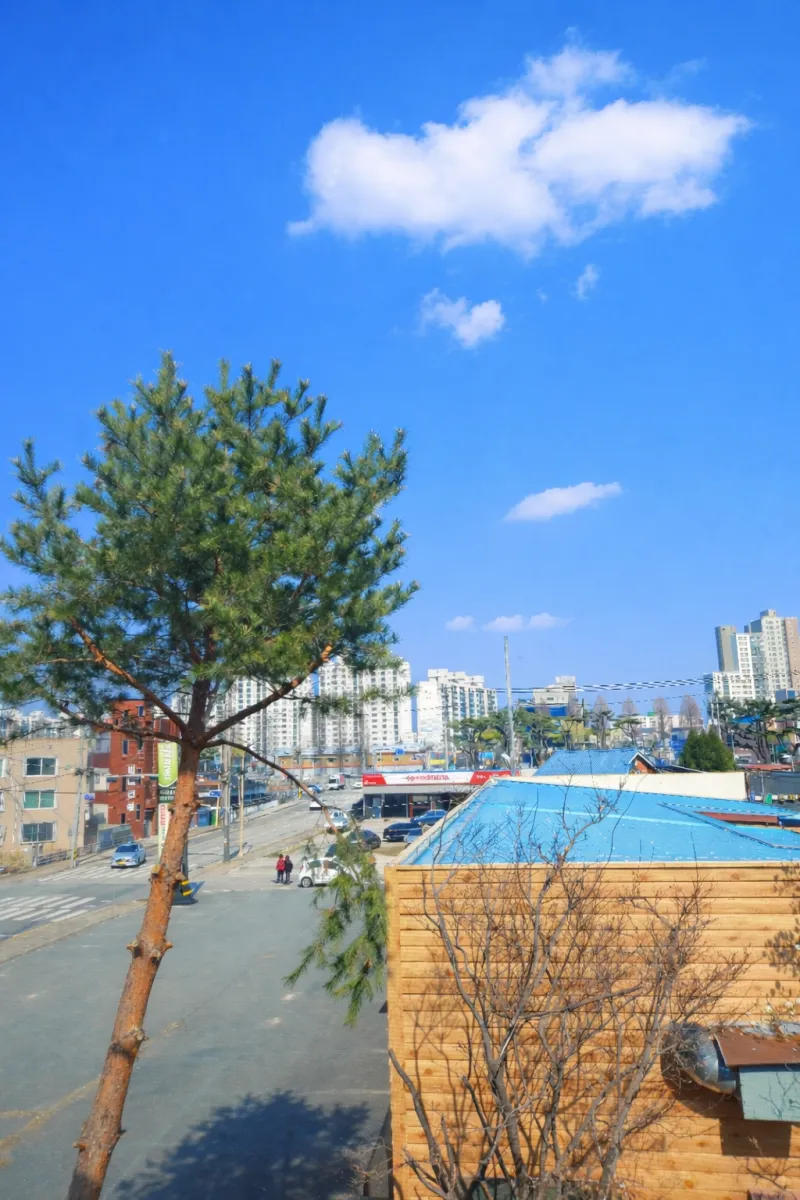 [전북 전주] B1-3인통창뷰감성@한달살기@전주천산책로@한옥마을10분 40