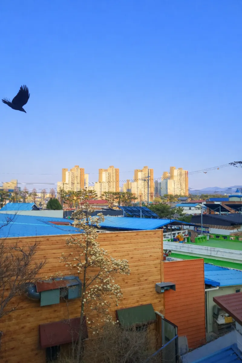 [전북 전주] B1-3인통창뷰감성@한달살기@전주천산책로@한옥마을10분 39