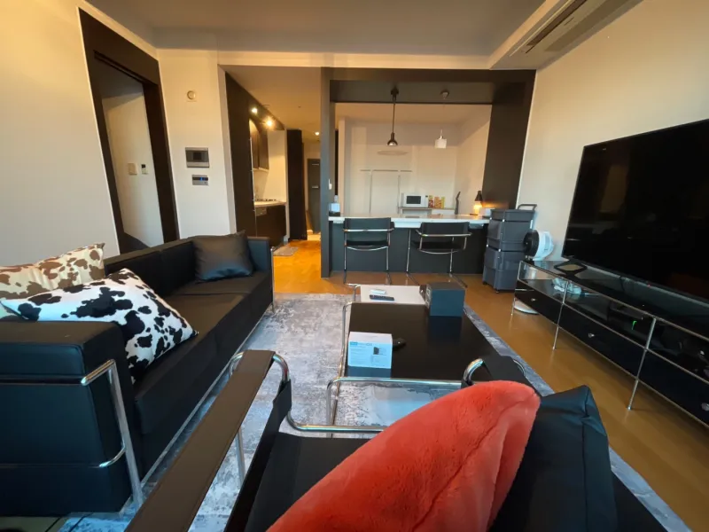 [Gangnam, Seoul] Gangnam-gu Office Station Fully Furnished High-Floor View 8