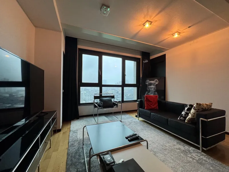 [Gangnam, Seoul] Gangnam-gu Office Station Fully Furnished High-Floor View 12