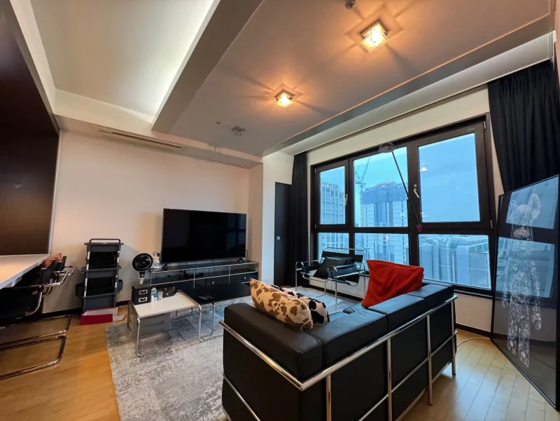 [Gangnam, Seoul] Gangnam-gu Office Station Fully Furnished High-Floor View 11