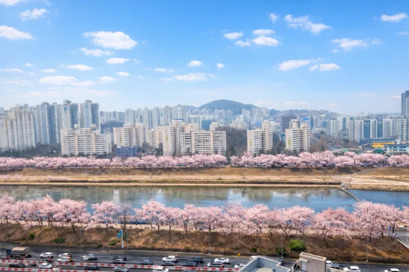 [Geumcheon, Seoul] 15th floor, clean and comfortable officetel, 5 minutes walk from Gadi Station in Geumcheon-gu 14