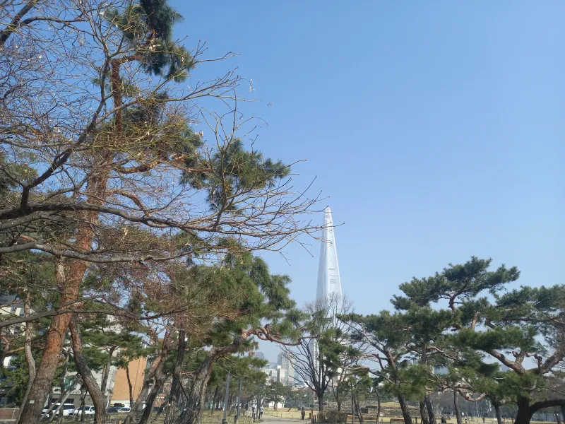 [서울 송파] 잠실 석촌 소나무뷰 투룸 빌라 23