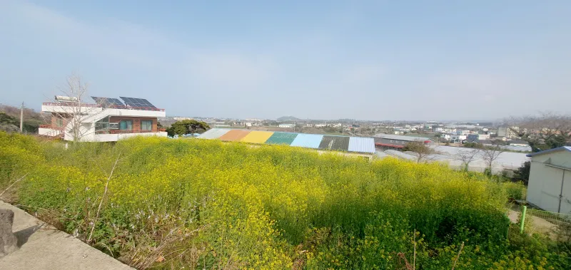 [Aewol, Jeju][Jeju #GamseongAewol] Ocean and Hallasan Mountain View, Two-Room + Multi-Room #PetFriendly 29