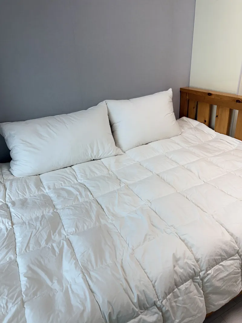 [Gangjeong-dong, Seogwipo] Spacious Terrace Accommodation 1004 3
