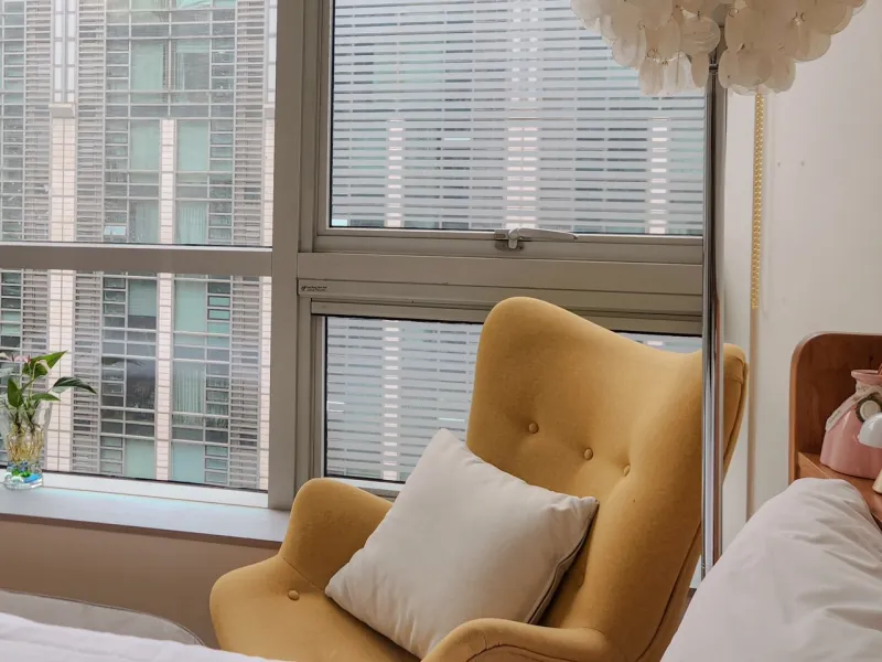 [Jongno, Seoul] Gyeongbokgung Palace_Cat that climbed over the wall 10