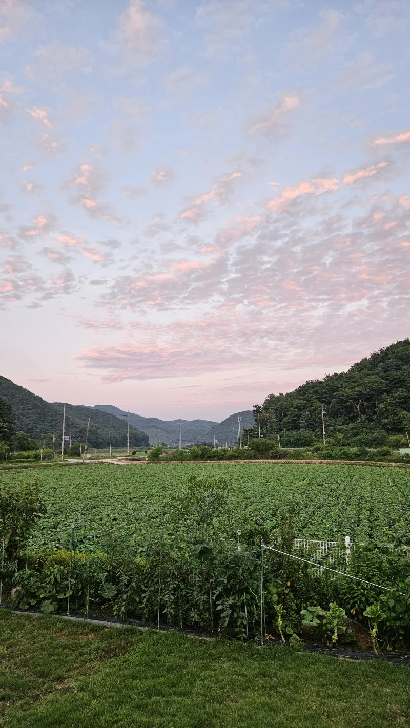 [경북 문경] 쌍룡계곡 인근 농촌스테이 16