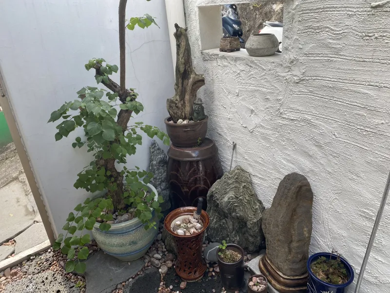 [Dongjak, Seoul] 3 minutes from Chung-Ang University, 30 minutes from Gangnam, a charming Sunshine Stay with a yard 21