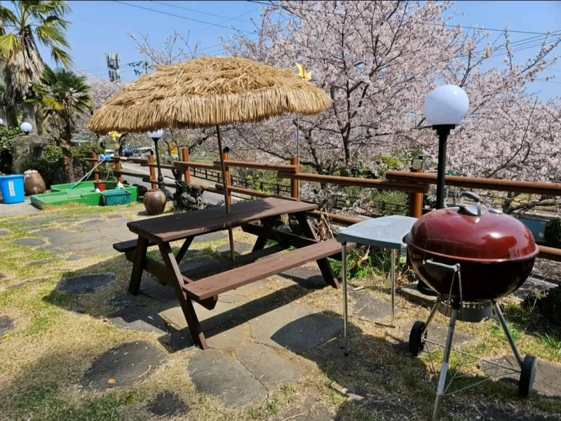 [Haye-dong, Seogwipo] Jungmun / Walk & Quiet Accommodation #PetFriendly #3MinutesFromValley #Room202 22