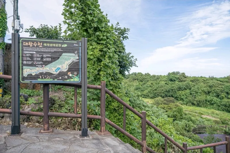 [Haye-dong, Seogwipo] Jungmun / Walk & Quiet Accommodation #PetFriendly #3MinutesFromValley #Room202 14