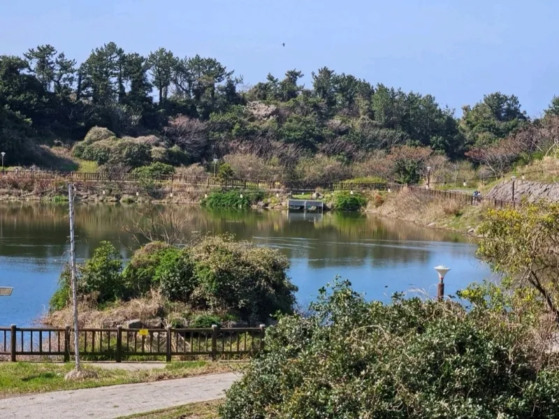 [Haye-dong, Seogwipo] Jungmun / Walk & Quiet Accommodation #PetFriendly #3MinutesFromValley #Room202 18