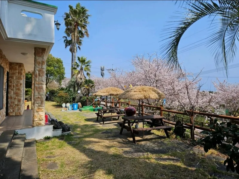 [Haye-dong, Seogwipo] Jungmun / Walk & Quiet Accommodation #PetFriendly #3MinutesFromValley #Room202 15