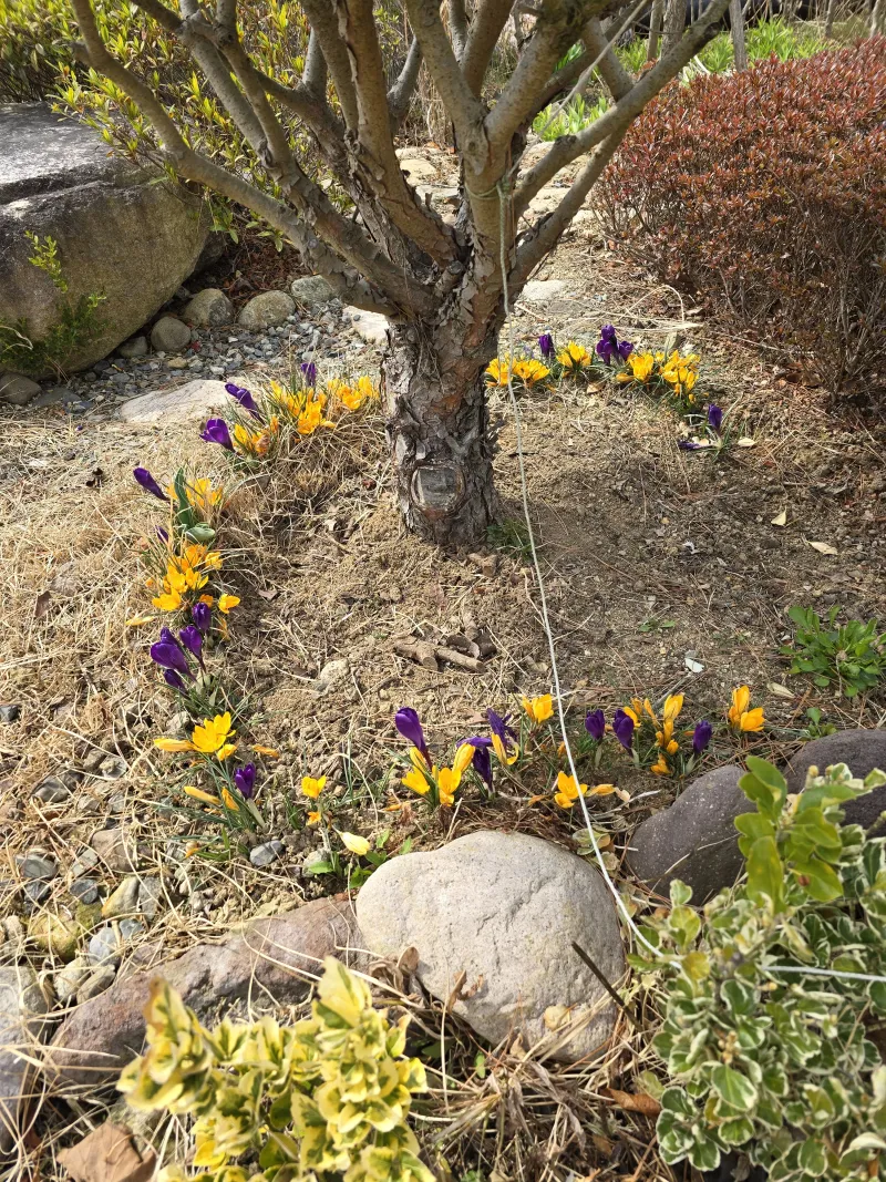 [Gyeongju] Bulguksa Hwangtobang House 28