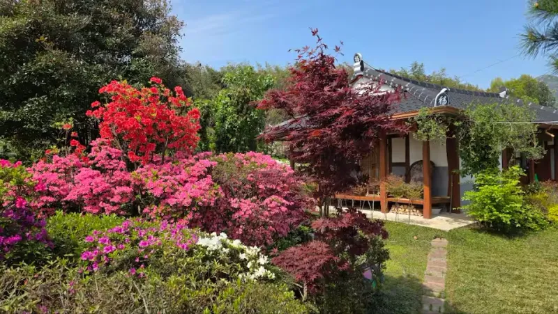[Damyang][Damyang-gun, Jeollanam-do] Private house with a garden #Pet-friendly 13