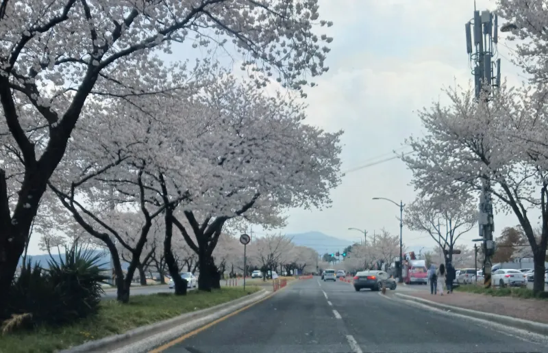 [경북 경주] 창뷰3/황리단길5분 19