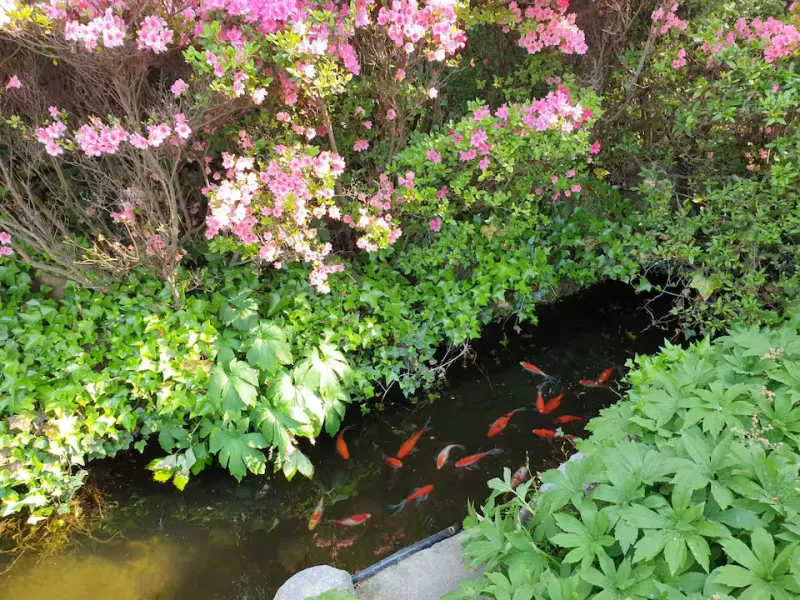 [Damyang][Damyang-gun, Jeollanam-do] Private house with a garden #Pet-friendly 19