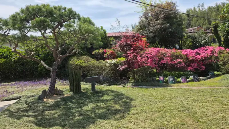 [Damyang][Damyang-gun, Jeollanam-do] Private house with a garden #Pet-friendly 15
