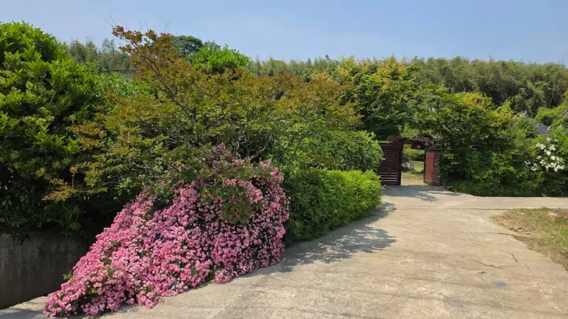 [Damyang][Damyang-gun, Jeollanam-do] Private house with a garden #Pet-friendly 17