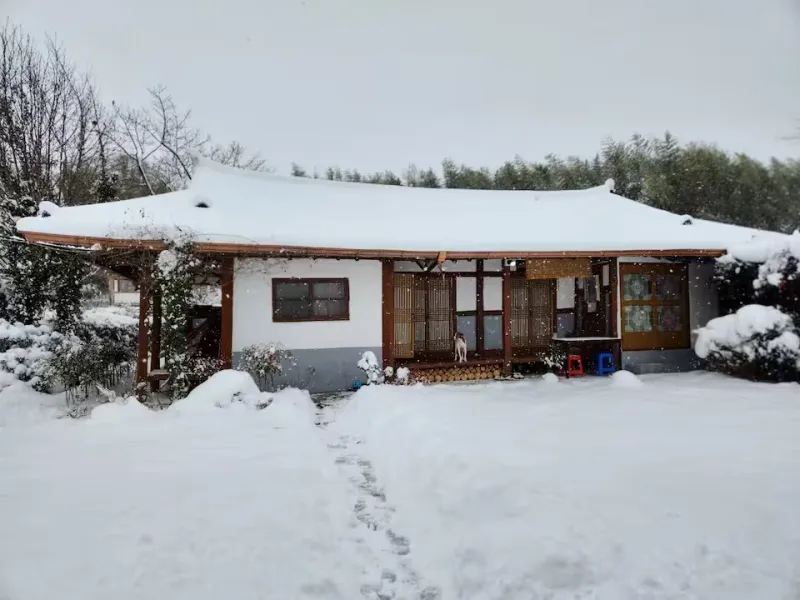 [Damyang][Damyang-gun, Jeollanam-do] Private house with a garden #Pet-friendly 18