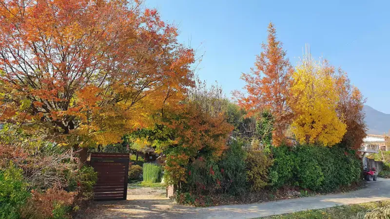 [Damyang][Damyang-gun, Jeollanam-do] Private house with a garden #Pet-friendly 12