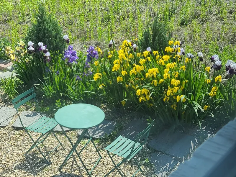 [Namwon] Jirisan Baemsagol Valley 10 minutes walk. Newly built duplex one-room (2) 29