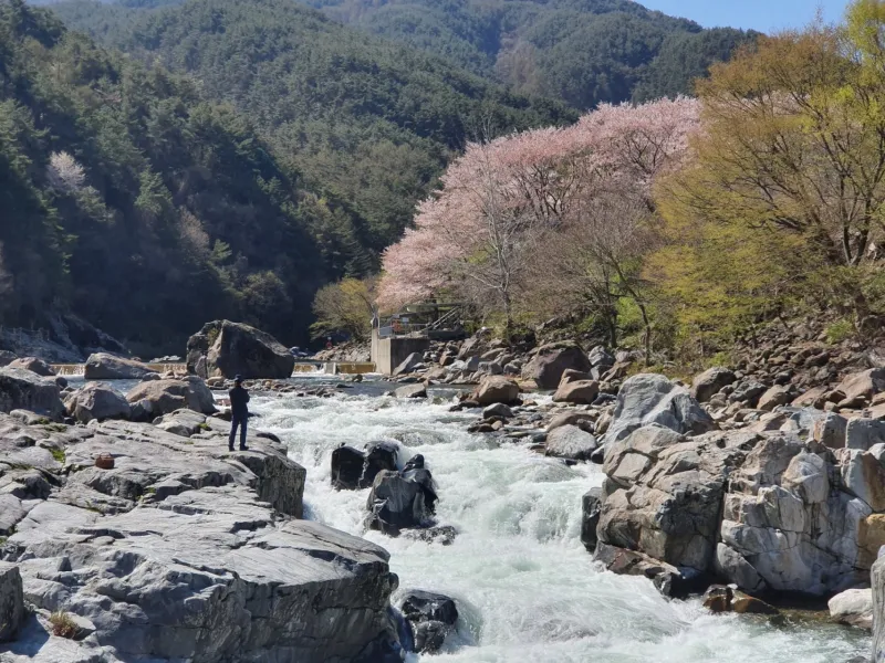 [Namwon] Jirisan Baemsagol Valley 10 minutes walk. Newly built duplex one-room (2) 31