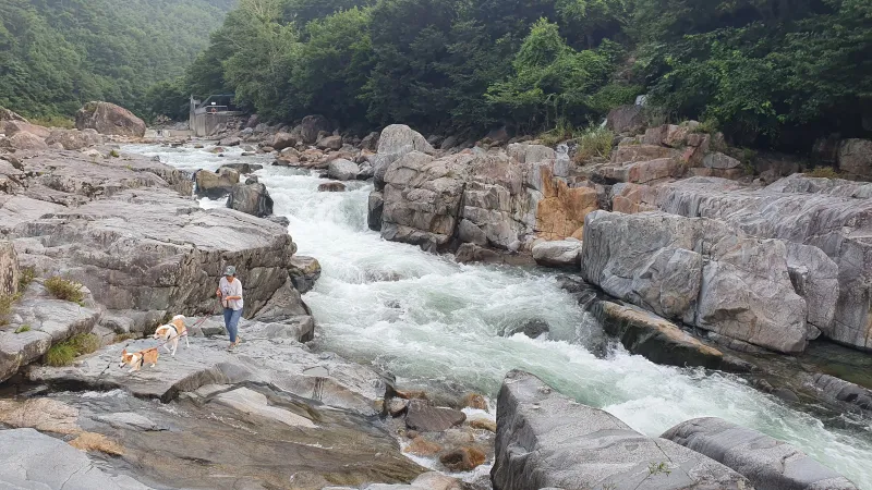 [Namwon] Jirisan Baemsagol Valley 10 minutes walk. Newly built duplex one-room (2) 33