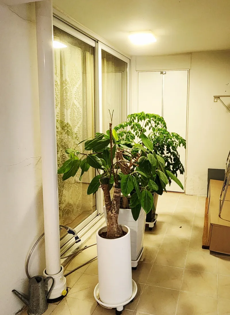 [Cheongju] Spacious apartment in Bongmyeong-dong, 5 minutes from the industrial complex 16