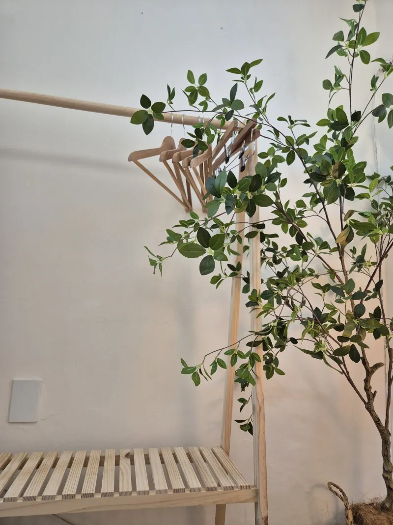 [Gangbuk, Seoul] SNS-Stylish Accommodation Aristay 9