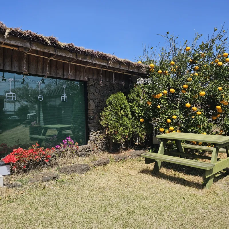 [Daejeong, Seogwipo] Tranquil lawn house 9