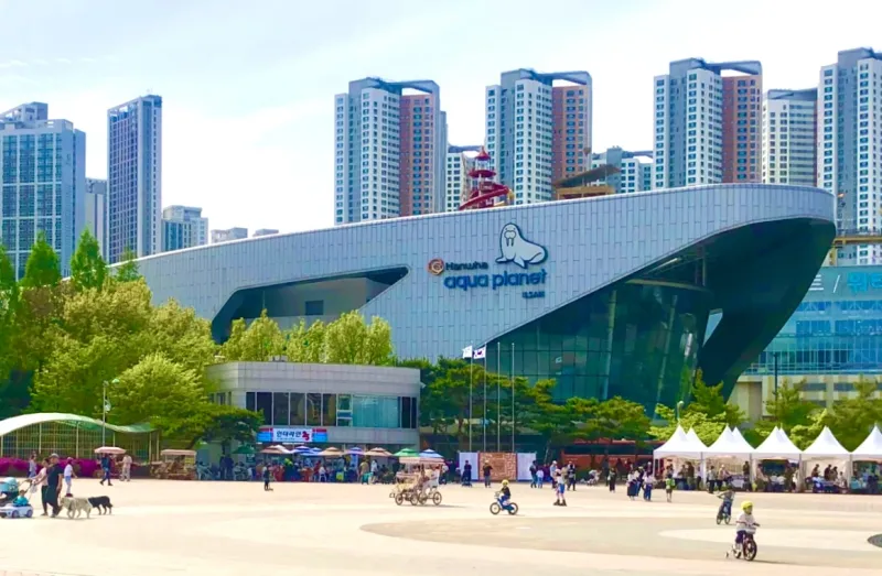[Goyang][Ilsan KINTEX] 30th Floor, Sky View, Cinema, Healing 52
