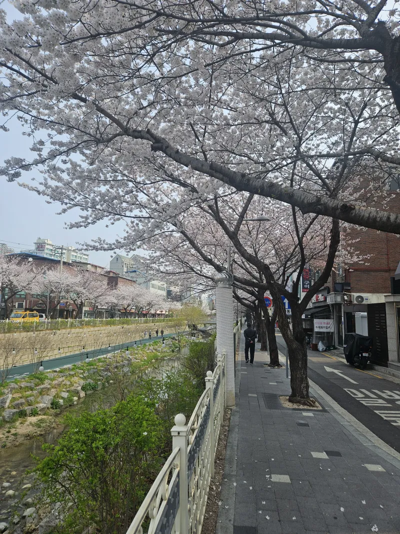 [서울 성북] 4호선 한성대입구역 도보2분 21