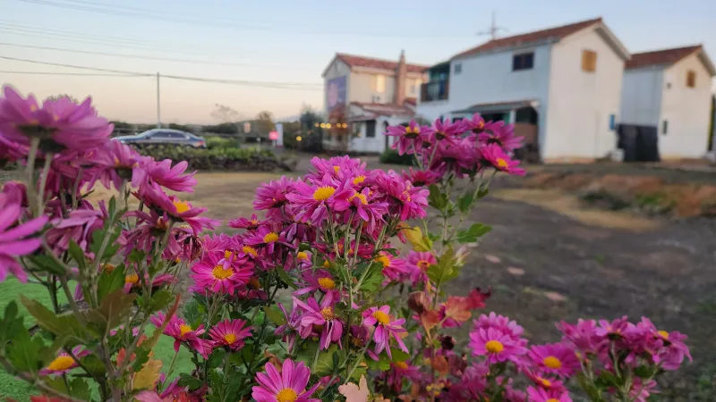 [제주 애월] 아이거/제주애월/한라산과 먼바다뷰/동선짜기 좋은위치/풍경이 있는 산책로 16