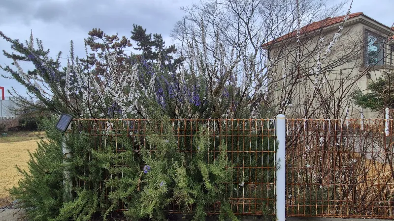 [Hallim, Jeju] ♡Hello♡Hyeopjae♡Pet-Friendly 2-Story Private Townhouse♡ 37