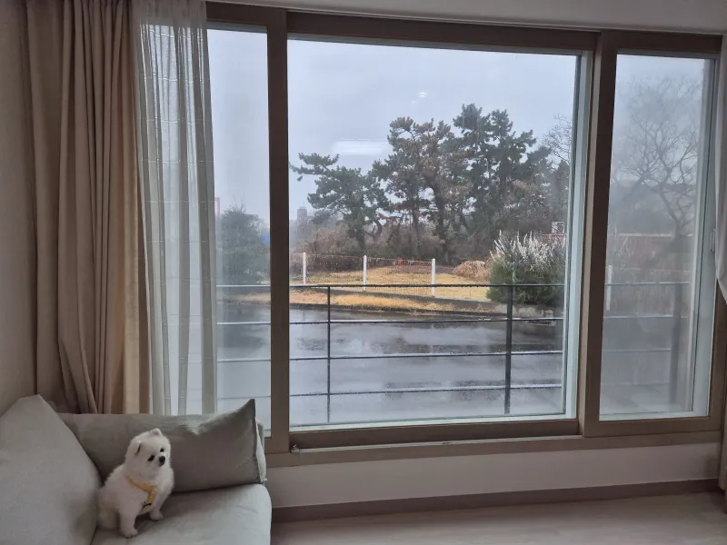 [Hallim, Jeju] ♡Hello♡Hyeopjae♡Pet-Friendly 2-Story Private Townhouse♡ 22