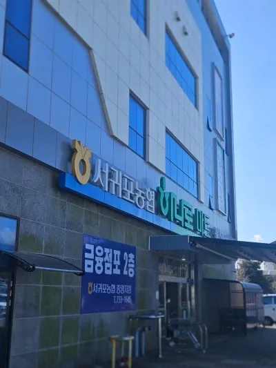 [Hogeun-dong, Seogwipo] A 2-story detached apartment in a prime location with an ocean view, in front of an elementary school 39