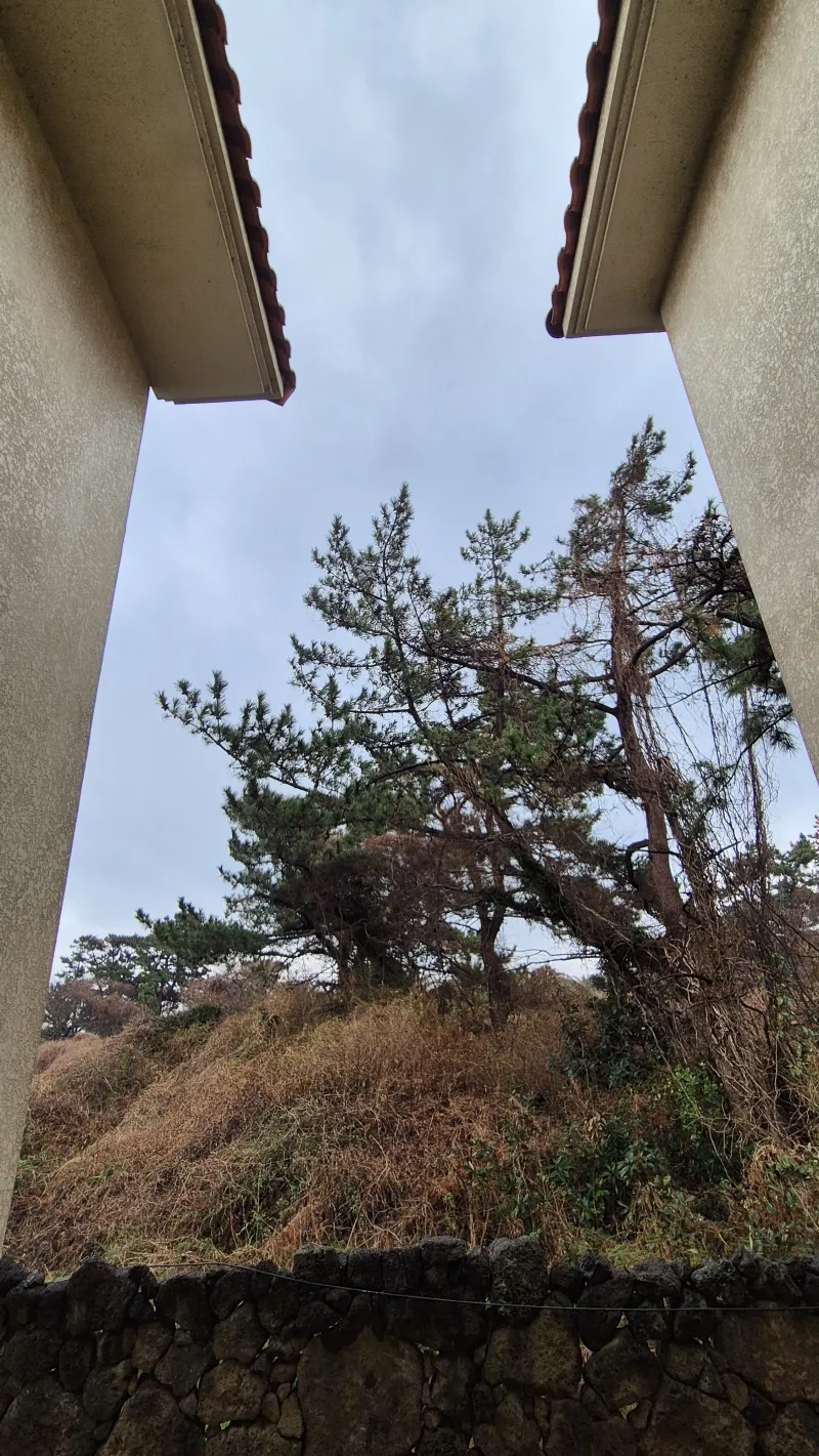 [Hallim, Jeju] ♡Hello♡Hyeopjae♡Pet-Friendly 2-Story Private Townhouse♡ 38