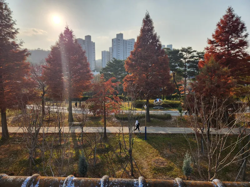[경북 포항] 철길숲 럭셔리1 9