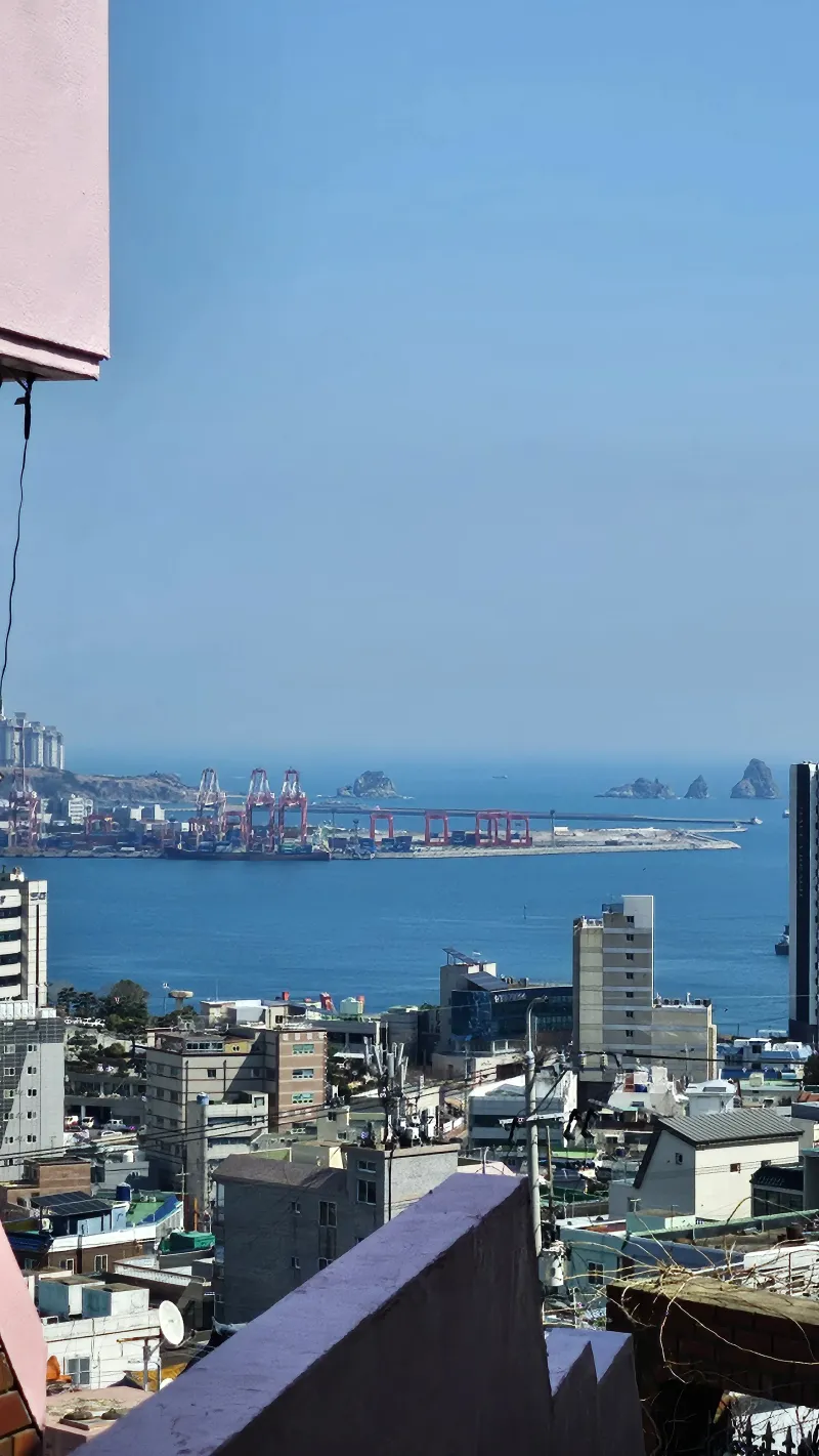 [Yeongdo, Busan] busan 46