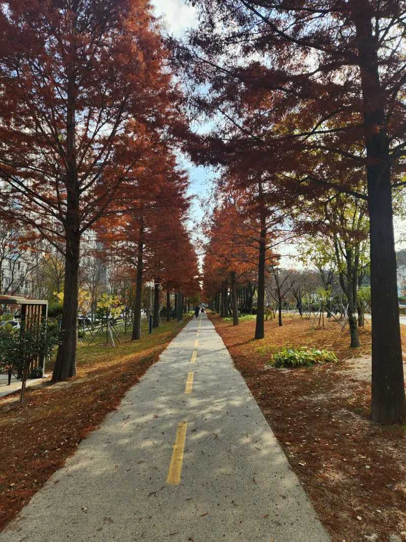 [경북 포항] 철길숲 럭셔리1 10