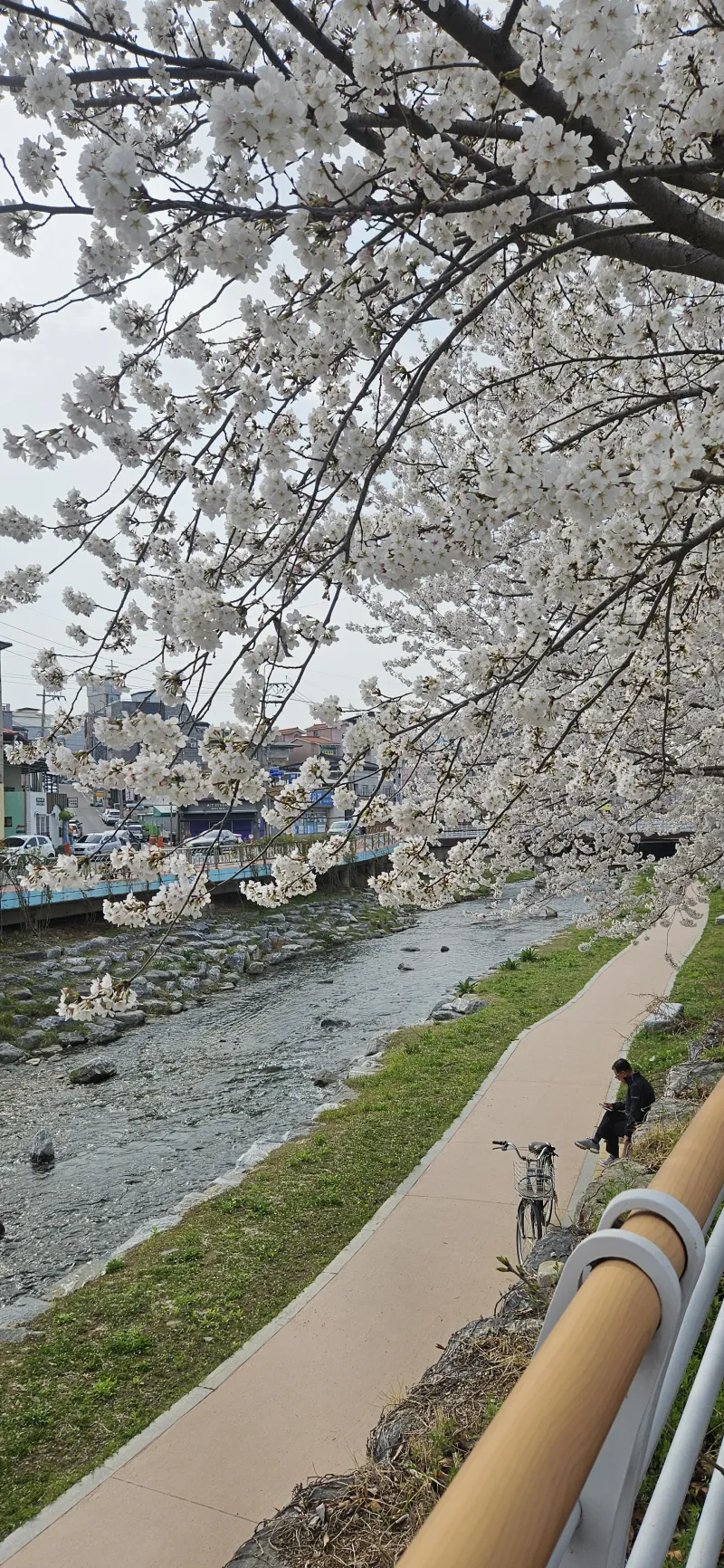 [Chungju][Chungju, North Chungcheong Province] A two-story duplex studio apartment with a touch of elegance #ValueForMoney 24