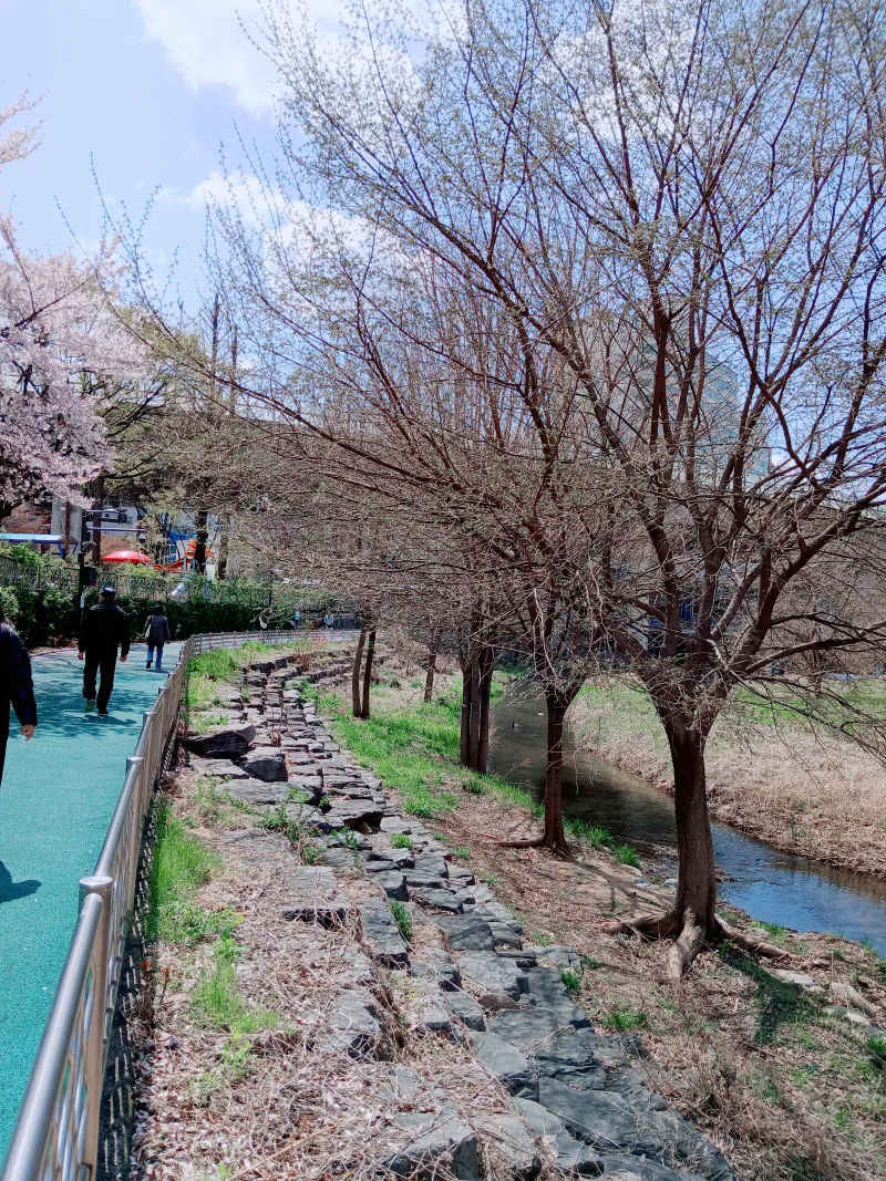 [Seodaemun, Seoul] Local accommodation, 30 minutes from Kookmin University, Sangmyung University, and Gyeongbokgung Palace, good for long stays 19
