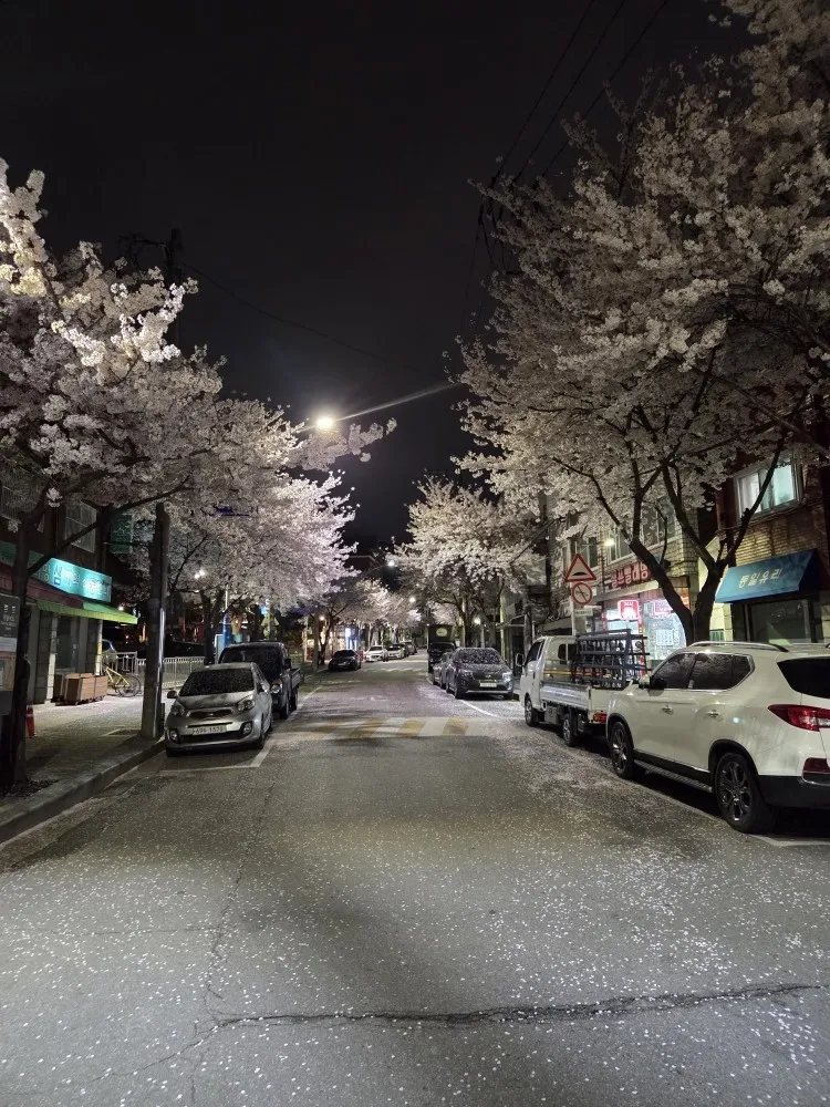 [Gwangjin, Seoul] Achasan Station 2nd Floor 3-Room Apartment with Large Terrace 32