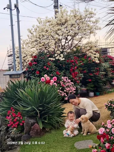 [Hallim, Jeju] Private Pension with Ocean View A 70